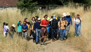 California Native Plant Society Walk with Janet Gawthrop [TJ Gehling]